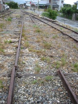 ��������å��ǳ���!